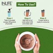 6 - INLIFE Vegan Plant Protein,  2.2 lb  Chocolate 