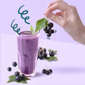 3 - Green Protein Flavoured Pea Protein,  1.1 lb  Black Currant 