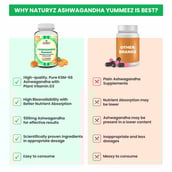 6 - Naturyz Ashwagandha Orange,  30 gummies 
