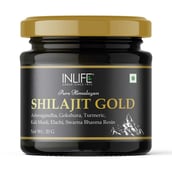 1 - INLIFE Pure Himalayan Shilajit Gold,  20 g 