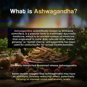 3 - Health Veda Organics Ashwagandha,  60 tablet(s) 