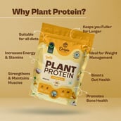 3 - Origin Nutrition Plant Protein,  1.75 lb  Creamy Vanilla 