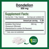 4 - Biotrex Dandelion 500mg,  60 veggie capsule(s) 