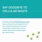 6 - Decode Age Spermidine,  60 tablet(s) 