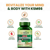 5 - Himalayan Organics KSM-66 Ashwagandha, 60 veggie capsule(s)