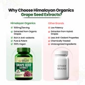 6 - Himalayan Organics Grape Seed Extract 500 mg,  90 veggie capsule(s) 
