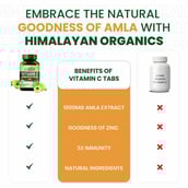 6 - Himalayan Organics Vitamin C (1000mg),  120 tablet(s)  Natural 