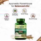 5 - Himalayan Organics Organic Ashwagandha 1000mg Serve,  120 capsules 