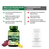 6 - Himalayan Organics Plant Based Iron Supplement with Folate, 90 veggie capsule(s)