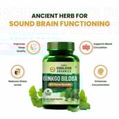 5 - Himalayan Organics Ginkgo Biloba 500mg,  60 capsules 