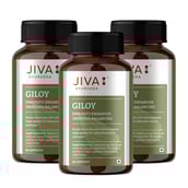 1 - Jiva Ayurveda Giloy (Pack of 3),  60 capsules 