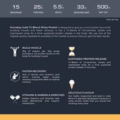 5 - Nutrabay Gold Tri-Blend Whey Protein,  1.1 lb  Vanilla Ice Cream 