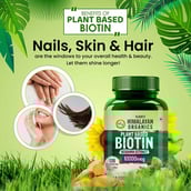 5 - Vlado's Himalayan Organics Plant Based Biotin 10000mcg,  120 veggie capsule(s)  Unflavoured 