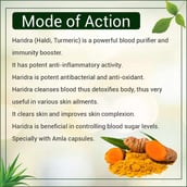 6 - Uma Ayurveda Haridra,  60 capsules 