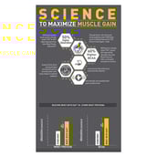 1 - MuscleBlaze Biozyme Whey Protein,  2.2 lb  Ice Cream Chocolate 