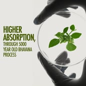 6 - Kapiva Ashwagandha Gold,  30 capsules 