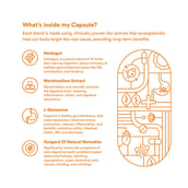 4 - Origins Nutra Gut Restore (Pack of 2), 28 veggie capsule(s)