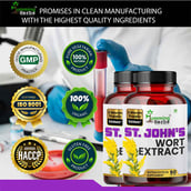 6 - Humming Herbs St. John's Wort Extract,  180 capsules 