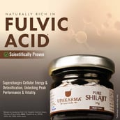 3 - Upakarma Ayurveda Pure Shilajit,  30 g 