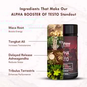 3 - WishNew Wellness Alpha Booster of Testo,  60 tablet(s)  Unflavoured (Pack of 2) 