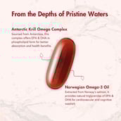 4 - WishNew Wellness Krill Omega Complex,  60 softgels 