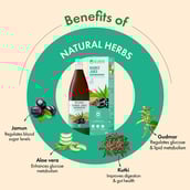 3 - Dr. Vaidya's Pilocare Juice, 100% Natural (Pack of 2) 950 ml