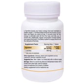 supplementinfo - Biotrex L Carnitine (500 mg),  60 tablet(s)  Unlfavoured 
