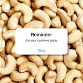 5 - Yogabar Whole Cashew,  500 g  Natural (Pack of 2) 