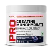 1 - GNC Pro Performance Pure Micronized Creatine Monohydrate,  Blueberry  0.55 lb 