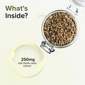 4 - GNC Milk Thistle 250 mg,  90 capsules 