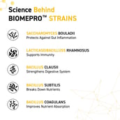 8 - MuscleBlaze Biozyme Gold 100% Whey,  2.2 lb  Monk Fruit Sweetened Chocolate Hazelnut