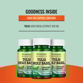 5 - Morpheme Remedies Tulsi-HolyBasil (500 mg),  60 veggie capsule(s) 