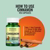 4 - Morpheme Remedies Cinnamon (500 mg),  60 veggie capsule(s) 