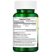 6 - Morpheme Remedies Grape Seed Extract (500 mg),  60 veggie capsule(s) 