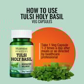 4 - Morpheme Remedies Tulsi-HolyBasil (500 mg),  60 veggie capsule(s) 