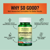 3 - Morpheme Remedies Phyllanthus Niruri (500 mg),  60 veggie capsule(s) 