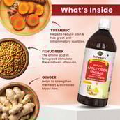 2 - Dr. Patkar's Apple Cider Vinegar, 0.5 L with Ginger Turmeric & Fenugreek