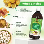2 - Dr. Patkar's Apple Cider Vinegar Pack of 2,  0.5 L  Garlic, Ginger, Lemon and Honey 