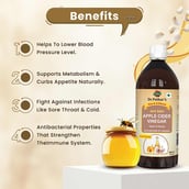 3 - Dr. Patkar's Apple Cider Vinegar,  0.500 L  Garlic & Honey 