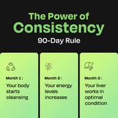 12 - Auric Liver Detox with 10 Ayurvedic Herbs Tangy Jamun,  40 tablet(s) 