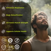 4 - Health Veda Organics N-Acetyl L-Cysteine, 60 capsules