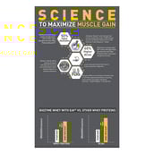 1 - MuscleBlaze Biozyme Iso-Zero, 2.2 lb Low Carb Ice Cream Chocolate