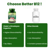 8 - Vlado's Himalayan Organics Methylcobalamin Vitamin B12 500mcg,  90 tablet(s)  Unflavoured 