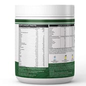 9 - INLIFE Vegan Protein Meal Shake,  0.5 kg  Mango 