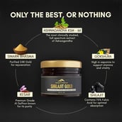 3 - Rasayanam Shilajit Gold Resin, 20 g