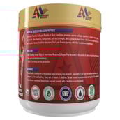 3 - Americanz Muscles Collagen Peptides + Burn,  300 g  Melon Madness 