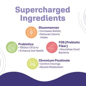 3 - Dr. Morepen LightLife Pre-Meal Nutrition,  10 sachets/pack  Assorted (Pack of 6) 