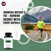 3 - Vitaminhaat Green Tea 50%,  90 capsules  Natural 