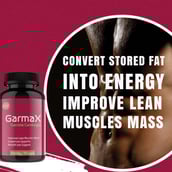 3 - Vitaminhaat Garmax Garcinia Cambogia,  75 capsules 