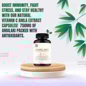 2 - Vitaminhaat Amalaki Amla Natural Vitamin C,  90 capsules 